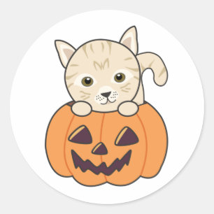 Sticker Rond Chat En Citrouille Chats Doux Joyeux Halloween Cla