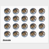 STICKER ROND CHAT EN COULEUR PENCIL : BALLES (Feuille)
