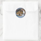 STICKER ROND CHAT EN COULEUR PENCIL : BALLES (Sac)