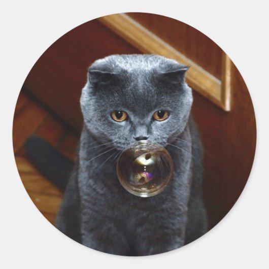 Sticker Rond Chat et bulle de savon (Devant)