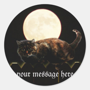 Sticker Rond Chat et la Pleine lune