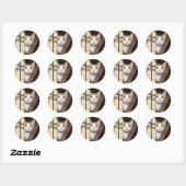 Sticker Rond Chat et livres (Feuille)