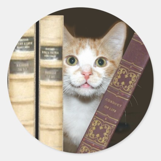 Sticker Rond Chat et livres (Devant)