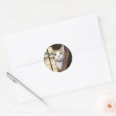 Sticker Rond Chat et livres (Enveloppe)