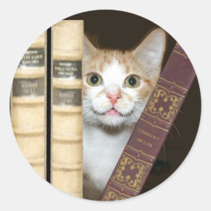 Sticker Rond Chat et livres