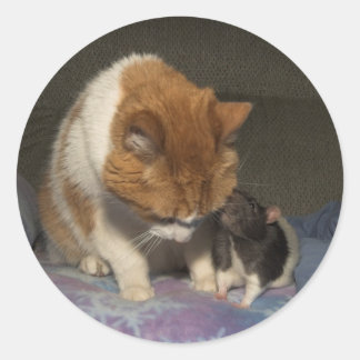 Sticker Rond chat et rat