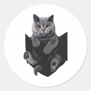 Sticker Rond Chat Gris Britannique En Chats De Poche S