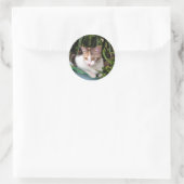 Sticker Rond Chat Hemingway (Sac)