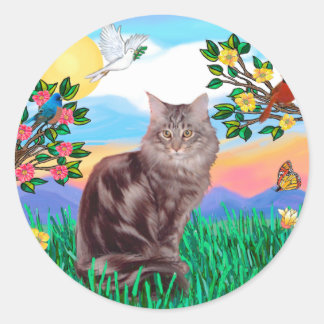 Sticker Rond Chat Maine Coon - Vie Lumineuse