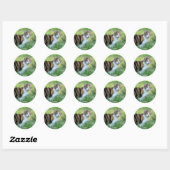 Sticker Rond Chat marron et blanc (Feuille)