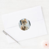 Sticker Rond Chat Mème (Enveloppe)