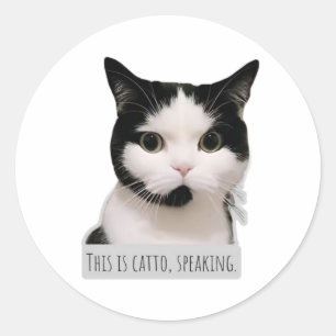 Sticker Rond chat meme