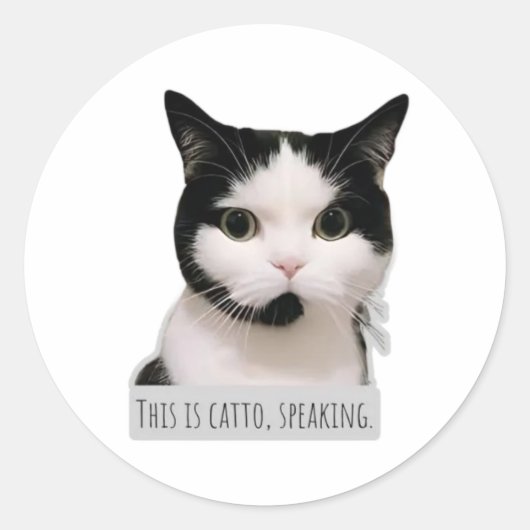 Sticker Rond chat meme (Devant)