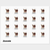 Sticker Rond chat mème drôle (Feuille)