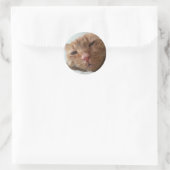 Sticker Rond chat mignon (Sac)
