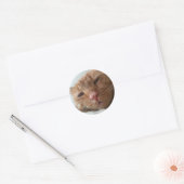 Sticker Rond chat mignon (Enveloppe)