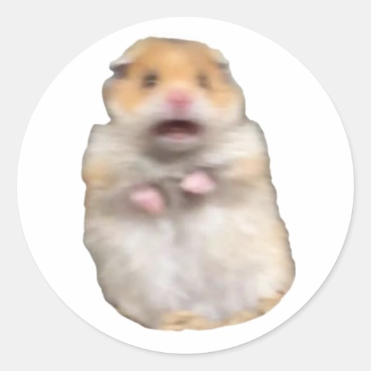Sticker Rond chat mignon mème (Devant)