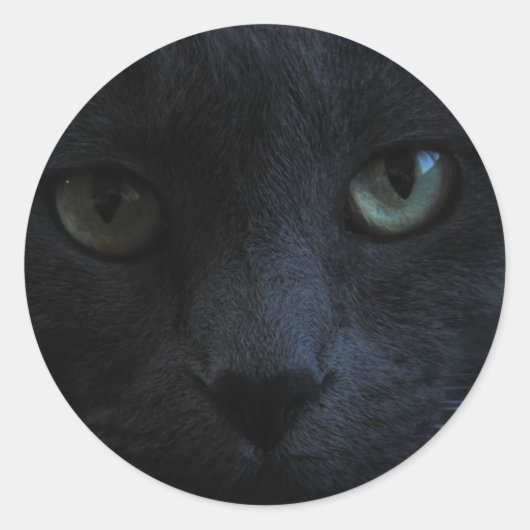 Sticker rond Chat Noir (Devant)