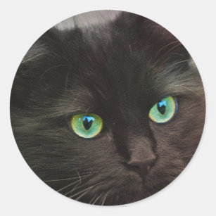 Autocollants Stickers Yeux Verts Chat Zazzle Be