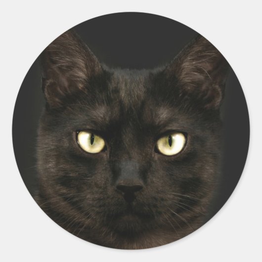 Sticker Rond chat noir éffrayant (Devant)