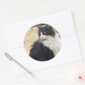 Sticker Rond chat noir et blanc (Enveloppe)