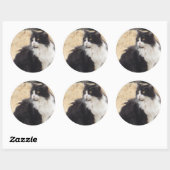 Sticker Rond chat noir et blanc (Feuille)