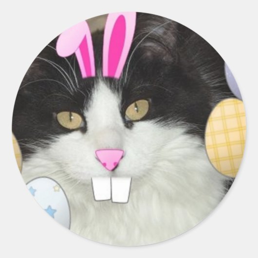 Sticker Rond Chat noir et blanc de l'Est (Devant)