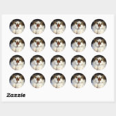 Sticker Rond Chat Oiseau De Croix Et Ladybird (Feuille)