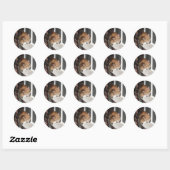 Sticker Rond Chat orange (Feuille)