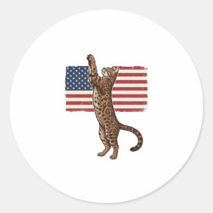 Sticker Rond Chat patriotique Drapeau américain Design vectorie