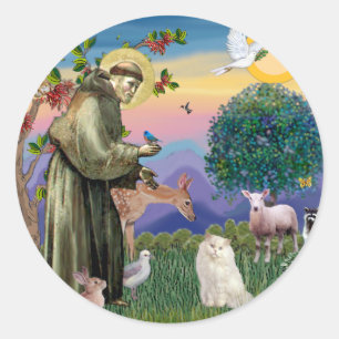 Sticker Rond Chat Persan blanc - Saint François