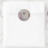 Sticker Rond Chat Persan Blanc sur une Chaise Rose (Sac)