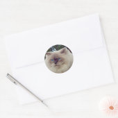 Sticker Rond Chat persan himalayen (Enveloppe)