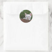 Sticker rond Chat Savannah blanc (Sac)