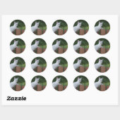 Sticker rond Chat Savannah blanc (Feuille)