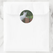 Sticker rond Chat Savannah blanc (Sac)