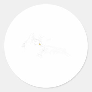 Sticker Rond Chat Squelette Halloween Cute Chats Noirs P