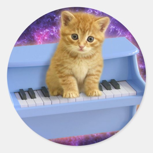 Sticker Rond Chat sur le piano bleu (Devant)