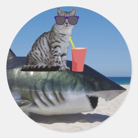 STICKER ROND CHAT SUR PLAGE SHARK (Devant)