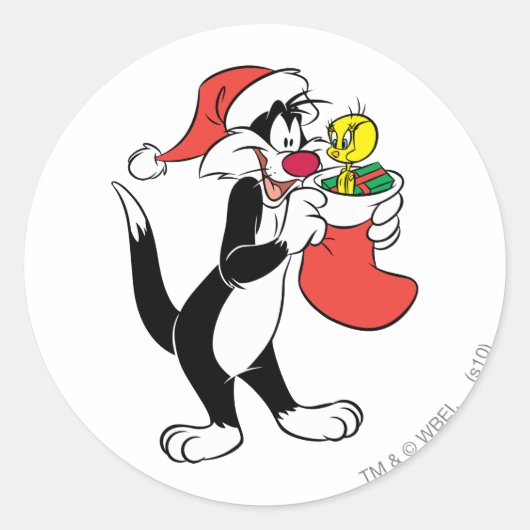 Sticker Rond Chat SYLVESTER™ avec stockage (Devant)