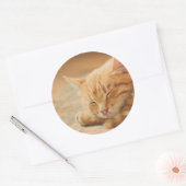 Sticker Rond Chat Tabby Orange Dormant (Enveloppe)