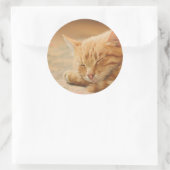 Sticker Rond Chat Tabby Orange Dormant (Sac)