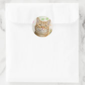 Sticker Rond Chat Tabby Sucré Orange (Sac)