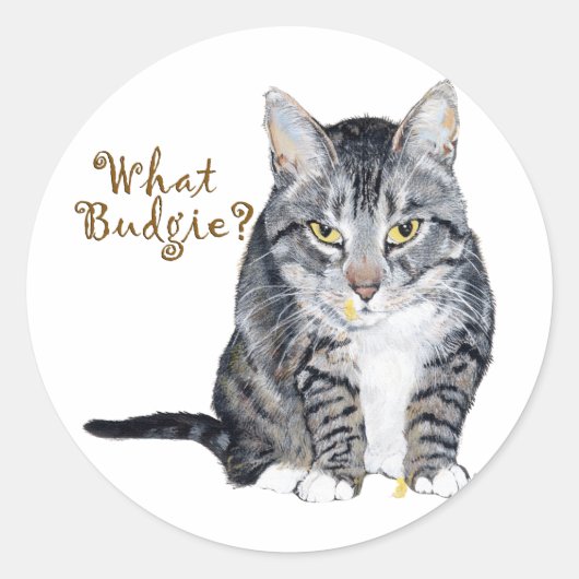 Sticker Rond Chat Tigre Demande : Quel Perruche ? (Devant)