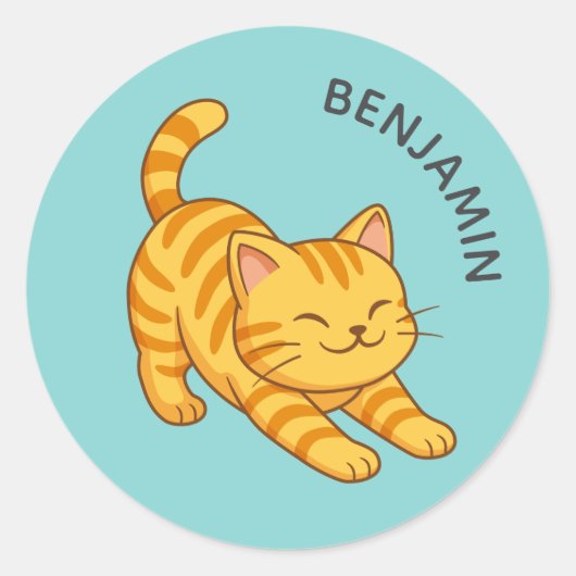 Sticker Rond Chat Tigre Orange Étiré Nom Personnalisé (Devant)