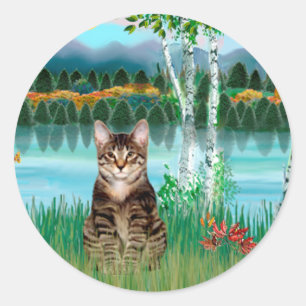 Sticker Rond Chat tigré tabby - Bouleaux