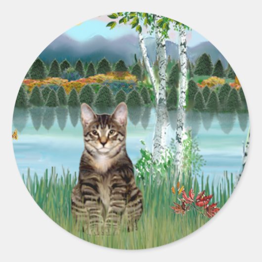 Sticker Rond Chat tigré tabby - Bouleaux (Devant)