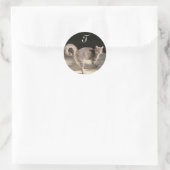 Sticker Rond CHAT TURQUE MONogramme (Sac)