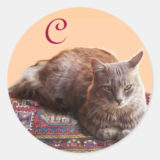 STICKER ROND CHAT TURQUE SUR L'ANCIEN MONOGRAMME DE MOQUETTE (Devant)