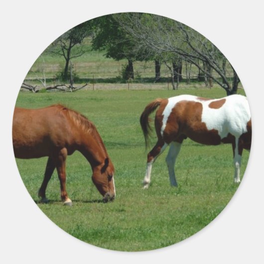 Sticker Rond Châtaignes et pinto (Devant)
